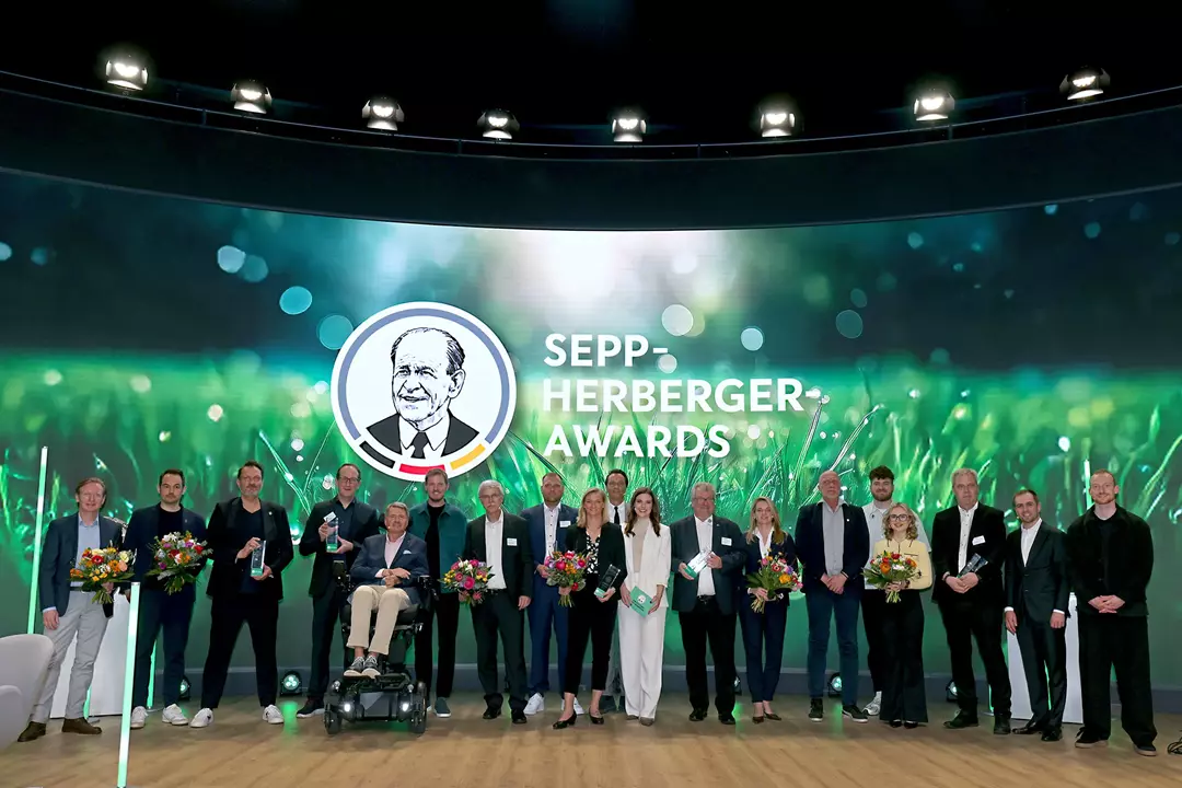 DFB (6)